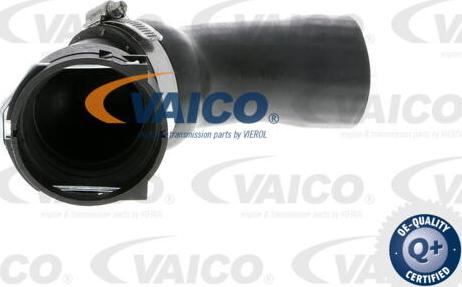 VAICO V20-2725 - Трубка нагнітається повітря avtolavka.club