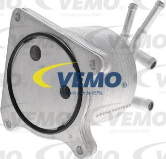 Vemo V33-60-0012 - Масляний радіатор, автоматична коробка передач avtolavka.club