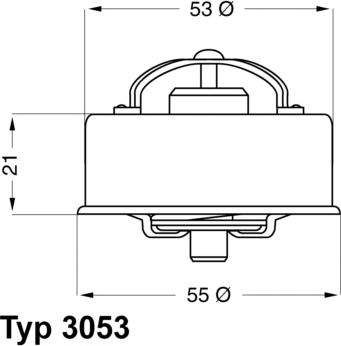 WAHLER 3053.75 - Термостат, охолоджуюча рідина avtolavka.club