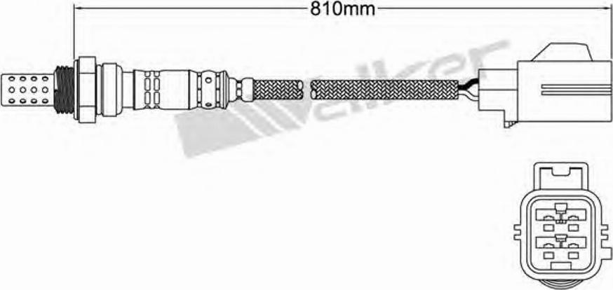 Walker 250-24408 - Лямбда-зонд, датчик кисню avtolavka.club