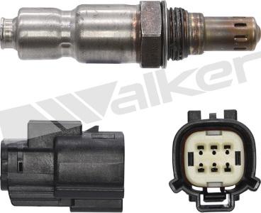 Walker Products 800-95033 - Лямбда-зонд, датчик кисню avtolavka.club