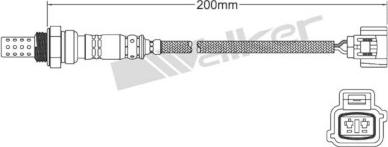 Walker Products 250-22088 - Лямбда-зонд, датчик кисню avtolavka.club