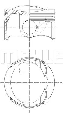 Wilmink Group WG1940985 - Поршень avtolavka.club