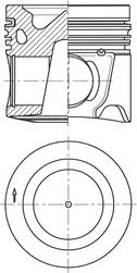 Wilmink Group WG1924768 - Поршень avtolavka.club