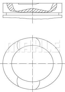 Wilmink Group WG1424020 - Поршень avtolavka.club