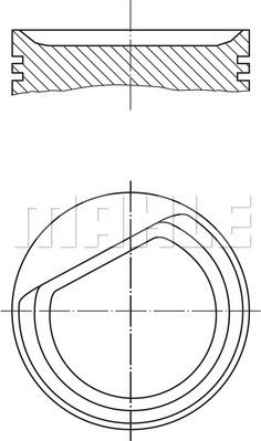 Wilmink Group WG1422984 - Поршень avtolavka.club