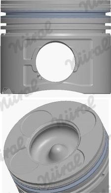 Wilmink Group WG1094001 - Поршень avtolavka.club