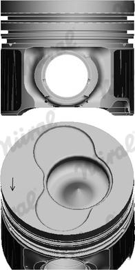 Wilmink Group WG1094122 - Поршень avtolavka.club