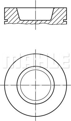 Wilmink Group WG1202082 - Поршень avtolavka.club