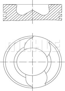 Wilmink Group WG1425092 - Поршень avtolavka.club