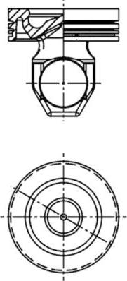 Wilmink Group WG1016560 - Поршень avtolavka.club