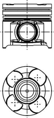 Wilmink Group WG1016696 - Поршень avtolavka.club