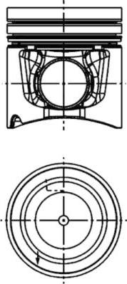 Wilmink Group WG1016698 - Поршень avtolavka.club