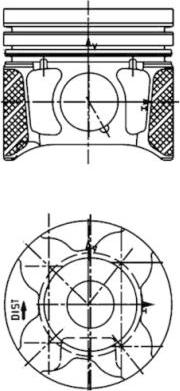 Wilmink Group WG1016398 - Поршень avtolavka.club