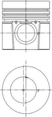 Wilmink Group WG1016377 - Ремонтний комплект, поршень / гільза циліндра avtolavka.club