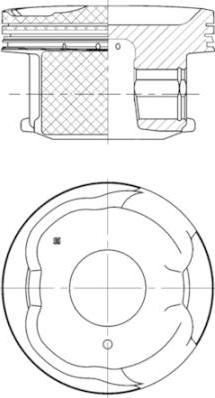 Wilmink Group WG1016757 - Поршень avtolavka.club