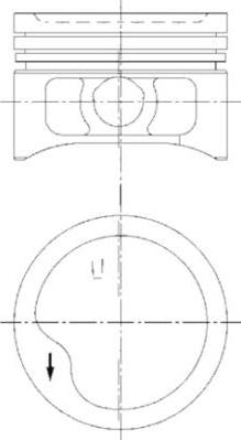 Wilmink Group WG1023494 - Поршень avtolavka.club