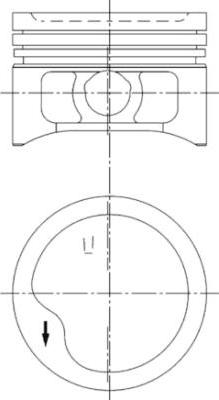 Wilmink Group WG1023481 - Поршень avtolavka.club