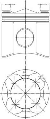 Wilmink Group WG1023395 - Поршень avtolavka.club