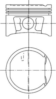 Wilmink Group WG1023707 - Поршень avtolavka.club