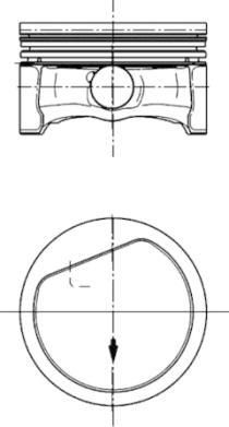 Wilmink Group WG1023782 - Поршень avtolavka.club