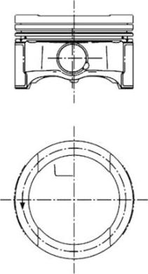 Wilmink Group WG1023736 - Поршень avtolavka.club