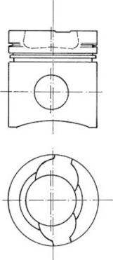 Wilmink Group WG1022043 - Поршень avtolavka.club