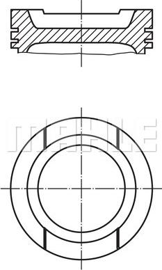 Wilmink Group WG1104459 - Поршень avtolavka.club