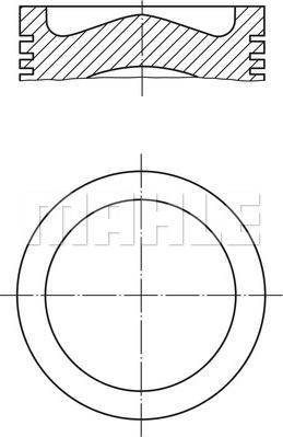 Wilmink Group WG1104542 - Поршень avtolavka.club