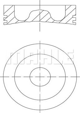 Wilmink Group WG1104576 - Поршень avtolavka.club