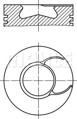 Wilmink Group WG1104686 - Поршень avtolavka.club