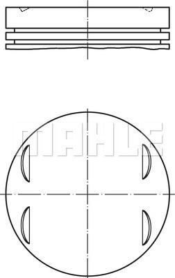 Wilmink Group WG1213505 - Поршень avtolavka.club