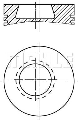 Wilmink Group WG1104103 - Поршень avtolavka.club