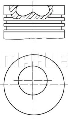 Wilmink Group WG1104303 - Поршень avtolavka.club