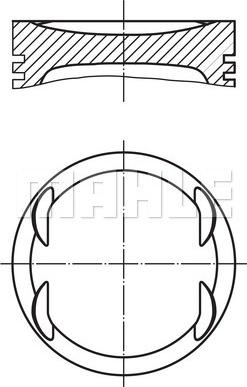 Wilmink Group WG1104255 - Поршень avtolavka.club