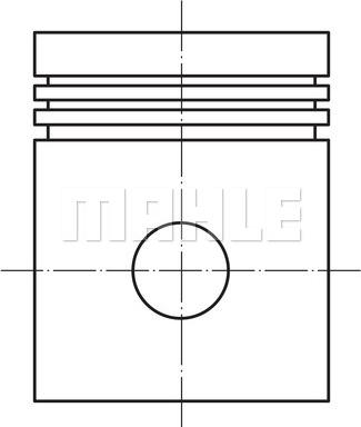 Wilmink Group WG1104265 - Поршень avtolavka.club