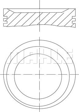 Wilmink Group WG1104221 - Поршень avtolavka.club