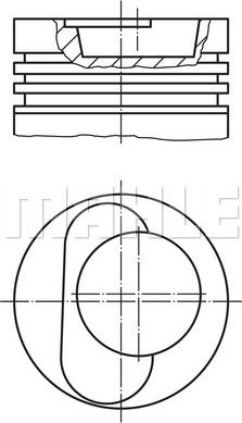 Wilmink Group WG1104718 - Поршень avtolavka.club