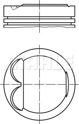 Wilmink Group WG1104776 - Поршень avtolavka.club