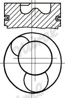 Wilmink Group WG1175920 - Поршень avtolavka.club