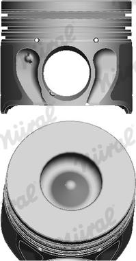 Wilmink Group WG1175281 - Поршень avtolavka.club