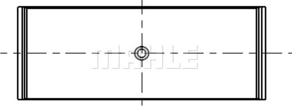 Wilmink Group WG1255457 - Шатуни підшипник avtolavka.club