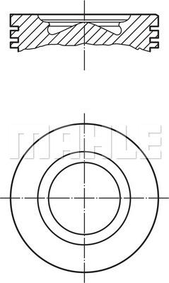 Wilmink Group WG1256451 - Поршень avtolavka.club