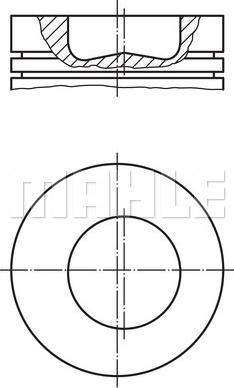 Wilmink Group WG1257597 - Поршень avtolavka.club