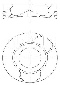 Wilmink Group WG1263363 - Поршень avtolavka.club