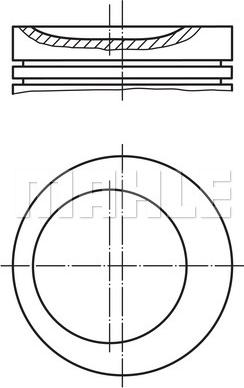 Wilmink Group WG1201563 - Поршень avtolavka.club