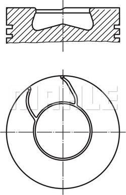 Wilmink Group WG1201357 - Поршень avtolavka.club