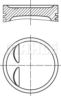 Wilmink Group WG1201269 - Поршень avtolavka.club