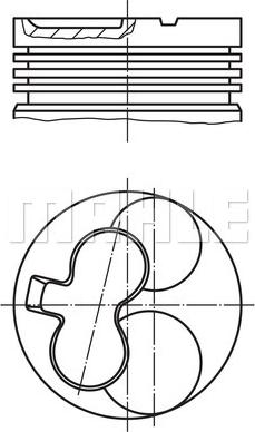 Wilmink Group WG1214496 - Поршень avtolavka.club