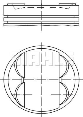 Wilmink Group WG1214410 - Поршень avtolavka.club